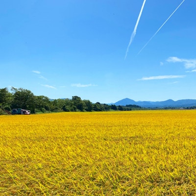 11月特別価格!!【銀河のしずく】精米(10kg×1袋)
