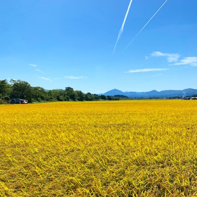 【あきたこまち】農家直送のお米!