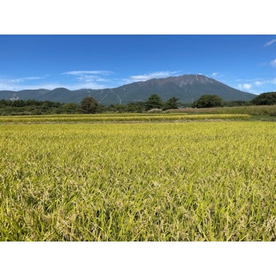 【完全自社製造】どぶろく一の雫(白)