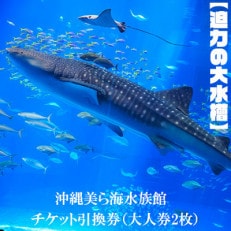 【迫力の大水槽】沖縄美ら海水族館 チケット引換券&lt;大人券2枚&gt;