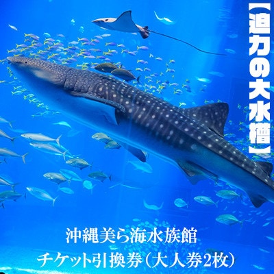 【迫力の大水槽】沖縄美ら海水族館　チケット引換券<大人券2枚>