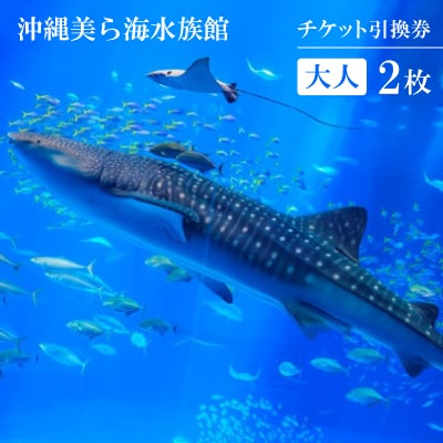 沖縄美ら海水族館 チケット引換券 大人券2枚