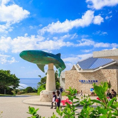沖縄美ら海水族館 チケット引換券 大人券2枚