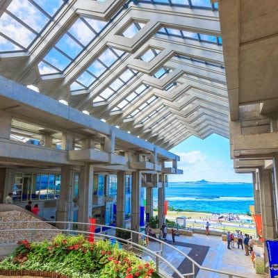 沖縄美ら海水族館 チケット引換券 大人券2枚