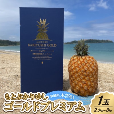 【贈答用・2025年7～8月頃発送】もとぶかりゆしゴールドプレミアム1玉(2.3kg～3.0kg)