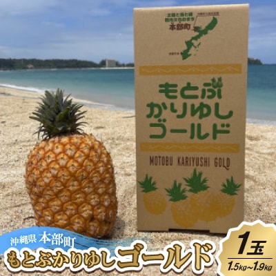【2025年7～8月頃発送】もとぶかりゆしゴールド1玉(1.5kg～1.9kg)
