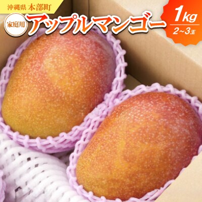 【2025年6月～7月頃の発送】家庭用アップルマンゴー1.0kg(2～3玉)
