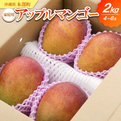 【2025年6月～7月頃の発送】家庭用アップルマンゴー2.0kg(4～6玉)