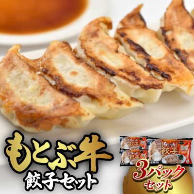 もとぶ牛餃子セット(12粒入りx3パック)