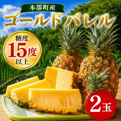 【2026年7月から順次発送】本部町産 糖度15度以上を誇る 高級ゴールドバレル 2玉