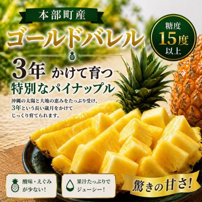 【2026年7月から順次発送】本部町産 糖度15度以上を誇る 高級ゴールドバレル 2玉