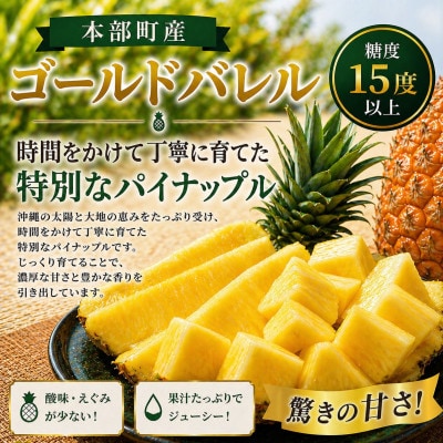 【2026年7月から順次発送】本部町産 糖度15度以上を誇る 高級ゴールドバレル 2玉