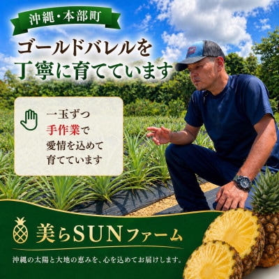 【2026年7月から順次発送】本部町産 糖度15度以上を誇る 高級ゴールドバレル 2玉