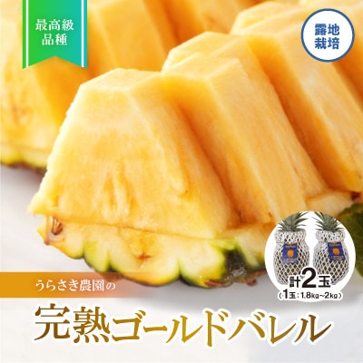 【2025年7～8月発送予定】完熟ゴールドバレル2玉(露地栽培) パイナップル