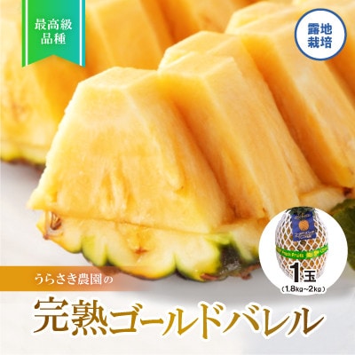【2025年7～8月発送予定】完熟ゴールドバレル1玉(露地栽培) パイナップル