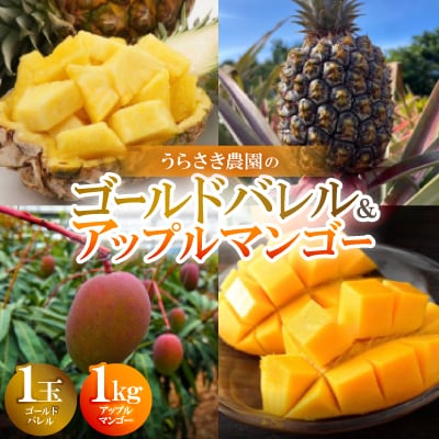【2025年7～8月発送予定】ゴールドバレル1玉&アップルマンゴー1kg