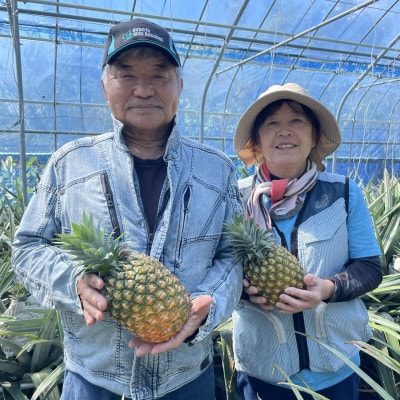 【2025年7～8月発送予定】ゴールドバレル1玉&アップルマンゴー1kg