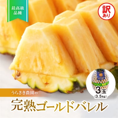 【2025年7月から順次発送】訳あり完熟ゴールドバレル3.5kg(3玉)