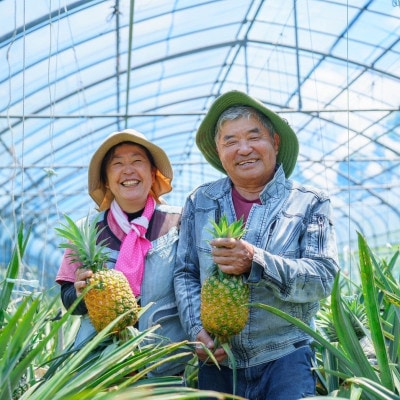 【2026年7月から順次発送・訳あり】完熟ゴールドバレル2～3玉 パイナップル