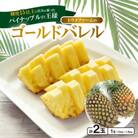 【2026年6月から順次発送】トウメファームのゴールドバレル2玉 パイナップル