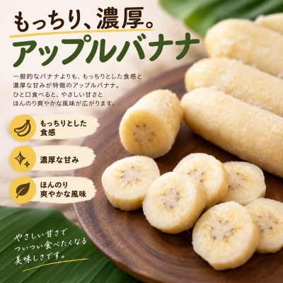 トウメファームが大切に育てた本部町産のアップルバナナ1.5kg～2.0kg(1房～2房)