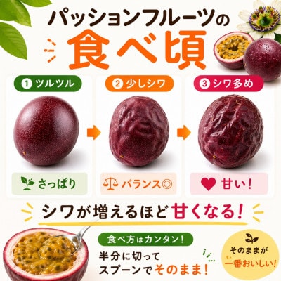 【2026年3月から順次発送】トウメファームのパッションフルーツ1kg(10～15玉)