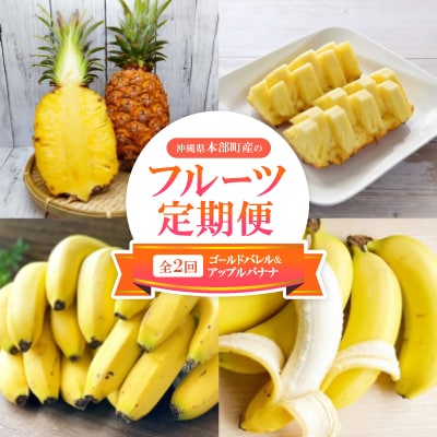 【発送月固定定期便】本部町産のフルーツ定期便(ゴールドバレル・アップルバナナ)全2回