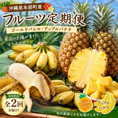 【発送月固定定期便】本部町産のフルーツ定期便(ゴールドバレル・アップルバナナ)全2回