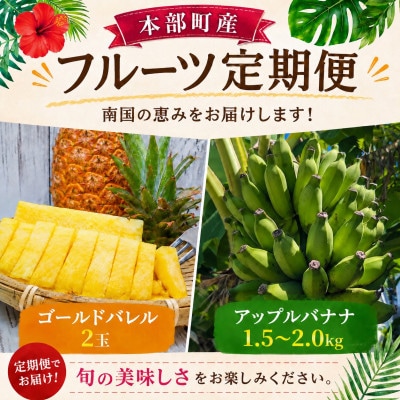 【発送月固定定期便】本部町産のフルーツ定期便(ゴールドバレル・アップルバナナ)全2回