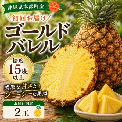 【発送月固定定期便】本部町産のフルーツ定期便(ゴールドバレル・アップルバナナ)全2回