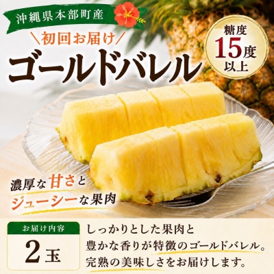 【発送月固定定期便】本部町産のフルーツ定期便(ゴールドバレル・アップルバナナ)全2回