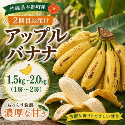 【発送月固定定期便】本部町産のフルーツ定期便(ゴールドバレル・アップルバナナ)全2回