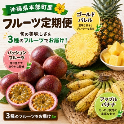 【発送月固定定期便】トウメファーム厳選したフルーツ定期便全3回