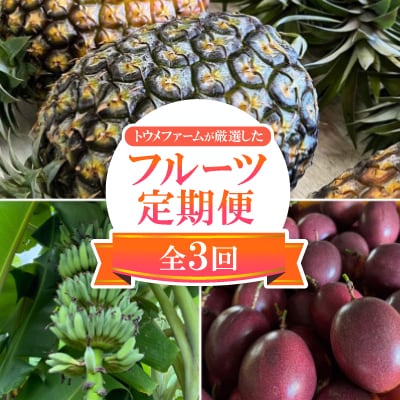【発送月固定定期便】トウメファーム厳選したフルーツ定期便全3回