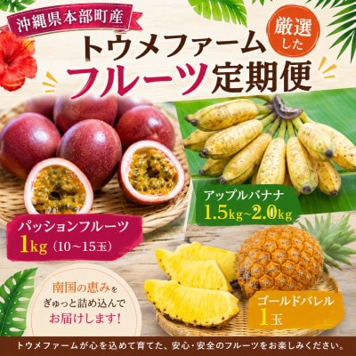 【発送月固定定期便】トウメファーム厳選したフルーツ定期便全3回