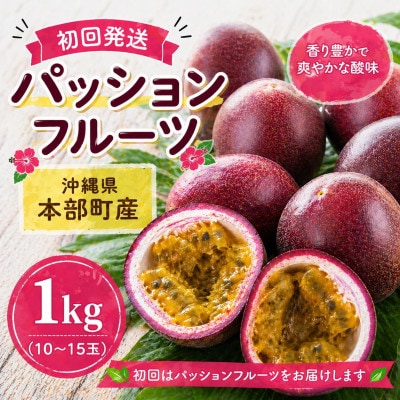 【発送月固定定期便】トウメファーム厳選したフルーツ定期便全3回