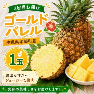 【発送月固定定期便】トウメファーム厳選したフルーツ定期便全3回