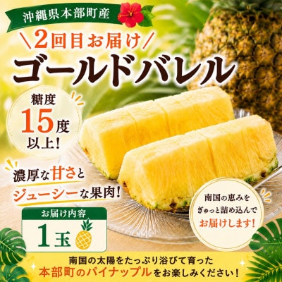 【発送月固定定期便】トウメファーム厳選したフルーツ定期便全3回