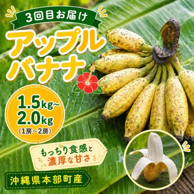 【発送月固定定期便】トウメファーム厳選したフルーツ定期便全3回