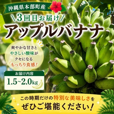 【発送月固定定期便】トウメファーム厳選したフルーツ定期便全3回