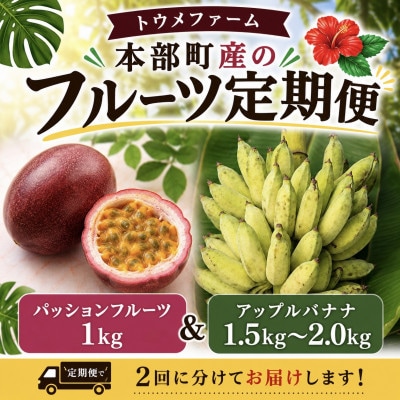 【発送月固定定期便】トウメファームが厳選したフルーツ定期便 パッションフルーツ&アップルバナナ全2回