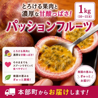 【発送月固定定期便】トウメファームが厳選したフルーツ定期便 パッションフルーツ&アップルバナナ全2回