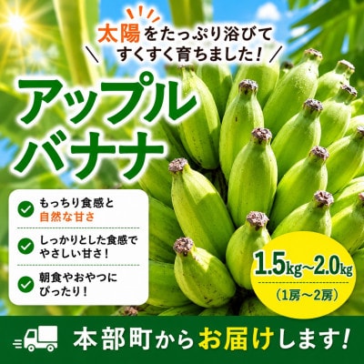 【発送月固定定期便】トウメファームが厳選したフルーツ定期便 パッションフルーツ&アップルバナナ全2回