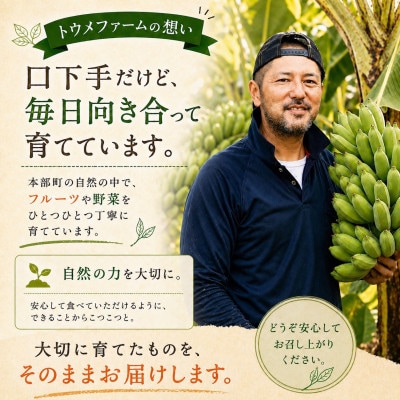 【発送月固定定期便】トウメファームが厳選したフルーツ定期便 パッションフルーツ&アップルバナナ全2回