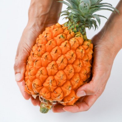パインアップル 生甘酒スムージー(1個250g×2個)