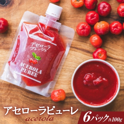 アセローラ果汁100%!アセローラピューレ 100g×6Pセット
