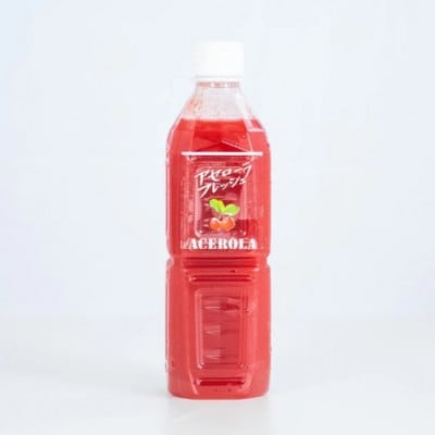 アセローラの素 500ml×1本