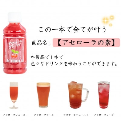アセローラの素 500ml×1本