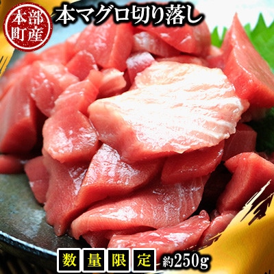 【数量限定・訳あり】本部町産の本マグロ切り落し 約250g