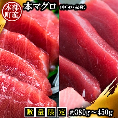 【数量限定】本マグロ(中トロ・赤身)セット 約380g～450g